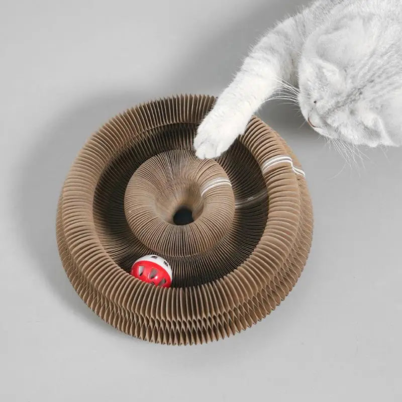 Brinquedo Acordeão De Papelão c/ Bola Interativa para Gatos
